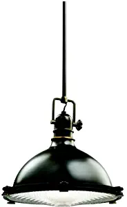 Kichler 2666OZ Pendant 1-Light, Olde Bronze