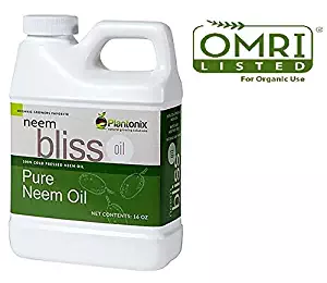 Organic Neem Bliss 100% Pure Cold Pressed Neem Seed Oil - (16 oz) High Azadirachtin Content - OMRI Listed for Organic Use