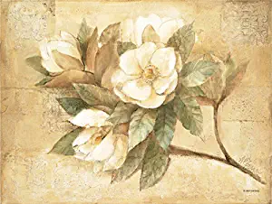 Pimpernel Sugar Magnolia Placemats Set of 4