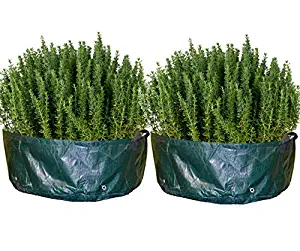 Raised Planter Garden Bed Bag by Backyard Accessories (36" x 12" (2-Pack))