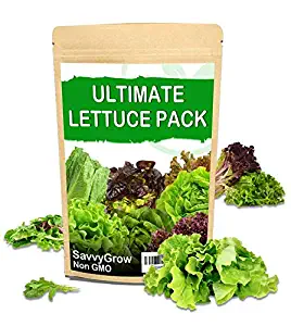SavvyGrow Heirloom Lettuce Seeds (10 Varieties) - Survival Garden Seeds for Planting Include - Open Pollinated, 85% Plus Germination Rate, Non-GMO & Source in USA Vegetable Seed (Lettuce)