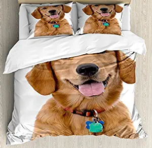 wanxinfu Golden Retriever 4 Piece Bedding Set Twin Size, Portrait of Young Pedigreed Dog Wearing a Collar and Tags Domestic Animal, 4 Pcs Duvet Cover Set Comforter Cover Bedspread with 2 Pillow Cases