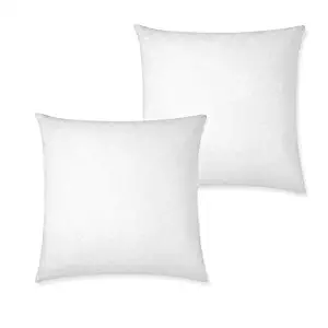 IZO Home Goods Premium Outdoor Anti-mold Water Resistant Hypoallergenic Stuffer Pillow Insert Sham Square Form Polyester, 20" L X 20" W (2 Pack), Standard/White