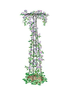 Essex Garden Trellis 63" Tall for Climbing Vegetables and Flowers, Decorative Flower Support