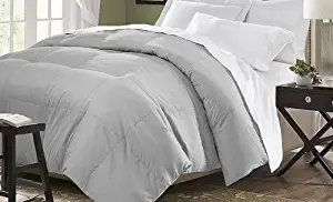 Blue Ridge Home Fashions Microfiber Down Alternative Comforter, King, Platinum