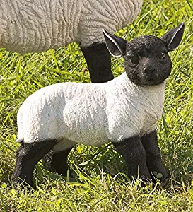 Plow & Hearth 54050 Standing Lamb Suffolk Sheep Resin Garden Stat