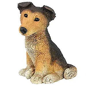 Design Toscano Brown Collie Puppy Dog Statue, Multicolored