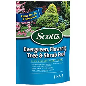 Scotts 1009101 Evergreen Flowering Tree & Shrub Food 3 Lbs