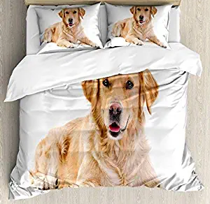 wanxinfu Golden Retriever 4 Piece Bedding Set Twin Size, Young Pedigree Puppy Laying Over White Background Sweet Baby Dog, 4 Pcs Duvet Cover Set Comforter Cover Bedspread with 2 Pillow Cases