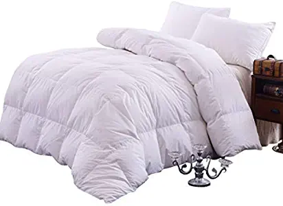 Topsleepy Goose Down Filling Queen Bedding Comforter, White