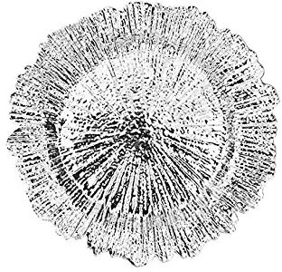 USA Party Flower Elegant Plastic Acrylic Reef Charger Plate, Set of 6 (SILVER, 13.5 inch)