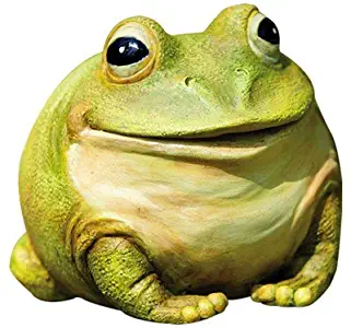 Evergreen Enterprises Garden Decor Medium Portly Frog