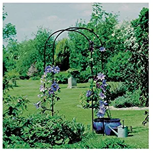 Gardman R350 Rose Arch, Black, 3' 3" Wide x 6' 3" High