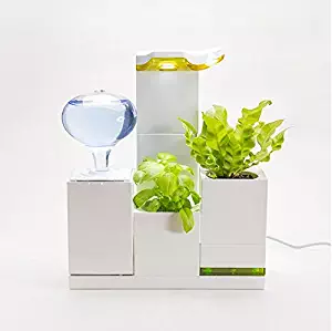 LeGrow Office Green Smart Self-Watering Herb Garden Office Plant Pot Planters Home Modular Design (Office Green) - Plants Not Included