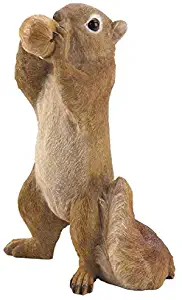 Summerfield Terrace Standing Squirrel Eating Acorn Garden Figurine