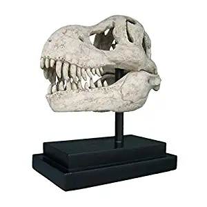 Design Toscano T-Rex Dinosaur Skull Fossil Statue on Museum Mount