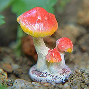 Best Design Lovely Diy Mushroom Toadstool Miniature Fairy Garden Terrarium Figurine, Fairy On Mushroom - Mini Mushrooms Fairy, Terrarium Miniature Figurines, Mushroom Dollhouse