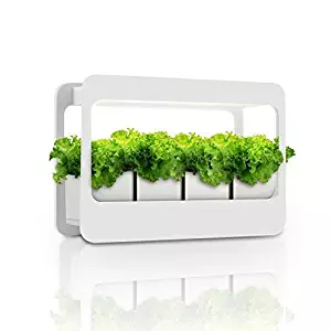 GrowLED Plant Grow Light LED Indoor Garden Light, Kitchen Garden with Timer Function, 24V Low Safe Voltage, Ideal for Plant Grow Novice Or Enthusiasts, Various Plants, DIY Decoration, White Grow Light