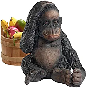 Design Toscano JQ3551 Curly The Chimpanzee of The Jungle Funny Monkey Statue, One Size, Full Color