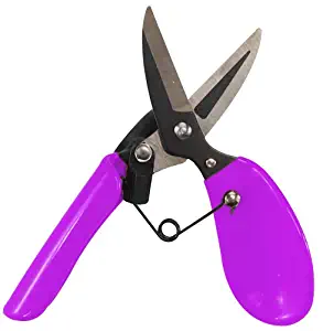 Dramm 18006 ColorStorm Premium Garden Scissors, Berry