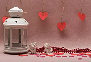 Baocicco Cotton Polyester 5x3ft Romantic Gentle Pink Wedding Photography Backdrops White Lantern Red Heart Piles Beads Angel Plaster Statue Love Background Birthday Bride Girl Valentine
