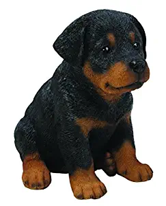 Hi-Line Gift Ltd Sitting Rottweiler Puppy, 65"