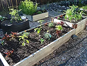 DripWorks Garden Bed Irrigation Kit - Medium