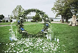 Cotton Polyester 5x4ft Outdoor Wedding Branch Arch with Roses Floral Decor Background Summer Garden Close River White Flower Petals Candles Green Grass Backdrops Bride Girl Valentine Date