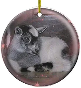 Yilooom Christmas Decorations Tree Ornament Baby Nigerian Dwarf Goat Ornament Circle Round Ornament Funny Xmas Gifts Holiday Home Decor - 3 inch