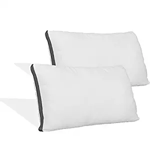 Coop Home Goods - Pillow Protector from Lulltra Fabric - Waterproof and Hypoallergenic - Protect Your Pillow Against Fluids - Oeko-TEX Certified - King (2 Pack)