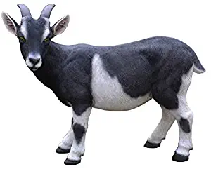 Hi-Line Gift Ltd Goat Statue, Black/White