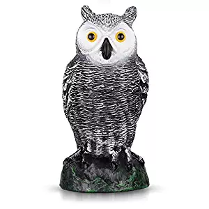 briteNway Ultimate Scarecrow Owl Decoy Statue Realistic Fake Owl Outdoor Pest & Bird Deterrent, Hand-Painted Garden Protector, Scares Away Squirrels, Pigeons, Rabbits & More – 10,5” Hollow Design