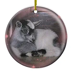 Yilooom Funny Christmas Ornaments Baby Nigerian Dwarf Goat Ornament Circle Round Holiday Tree Ornaments Decoration Xmas Gifts - 3 inch