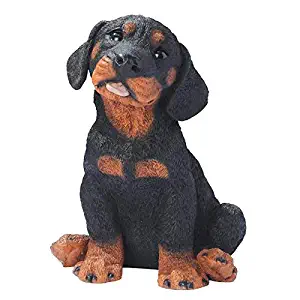 Design Toscano Rotweiler Puppy Dog Statue, Multicolored