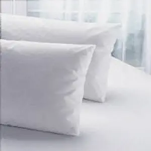 Pacific Coast Double Down Around Pillow Complete Set - Featured in Many Ritz-Carlton Hotels (4 Standard Pillows)