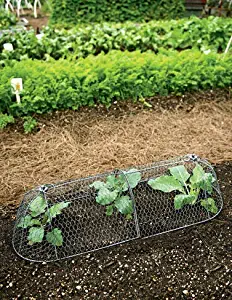 3-in-1 Chicken Long Wire Cloche Garden Protection