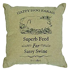 CWI Gifts Sassy Swine Pillow