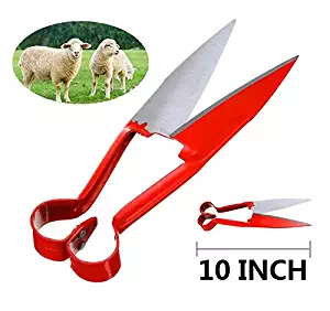 EatingBiting（R）10" Sheep Shearing Hand Shear Scissors Steel Black Handle Cutters Animal Clipper