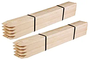 Greenes Fence 4 Ft. Garden Stakes (50 Pack)