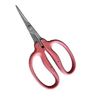 Chikamasa B-500SLFP PINK Trimming Scissors Slant Blade w/ Sap-Resistant Fluorine Coating