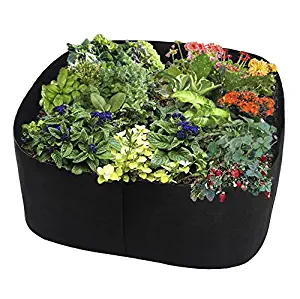 ASSR Fabric Raised Garden Bed, Rectangle Breathable Planting Container Grow Bag Planter Pot for Plants, Flowers, Vegetables size 2(L) x2(W) ft (Black)