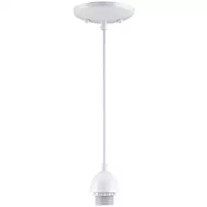 Westinghouse Lighting 7028600 Single-Light Mini-Pendant Kit with White Finish