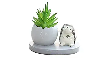 Cute Resin Animal Hedgehog Meaty Pot by SWONVI, Succulent Flower Pots with Drainage Resin Mini Flower Pot Garden Plants Vase Desk Flower Decoration (Hedgehog)