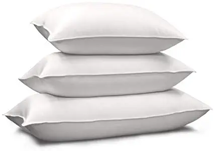 Blue Ridge Home Fashions 214113 Pillow, King, White