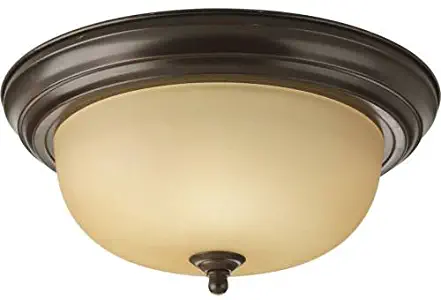 Progress Lighting P3925-20T 2-Light Flushmount, Antique Bronze