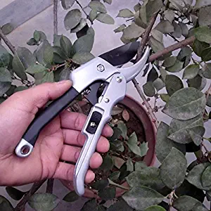 Argonv Multi-Tasking Florist Scissors Garden Clippers with Serrated Blade