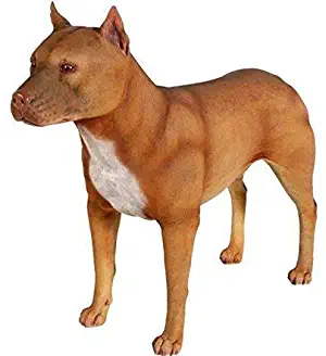 LM Treasures Dog Pitbull Male Animal Prop Life Size D?ecor Resin Statue