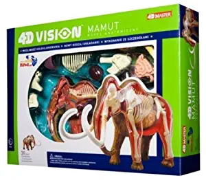 Tedco 4D Vision Woolly Mammoth Anatomy Model