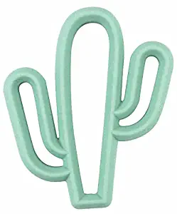 Itzy Ritzy Silicone Baby Teether – BPA-Free Infant Teether with Easy-to-Hold Design and Textured Back Side to Massage and Soothe Sore, Swollen Gums, Cactus