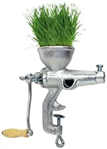 Heavy Duty Cast Iron Manual Wheat Grass Fruit Juicer Extractor Grinder